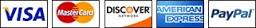 visa mastercard amex paypal accepted